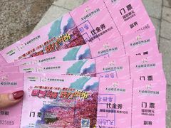-天适樱花悠乐园