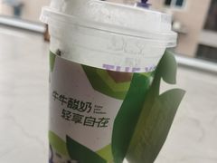 -一只酸奶牛(八一路店)