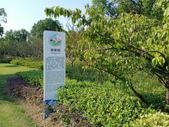 -昆山城市生态森林公园