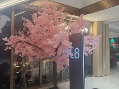 -国芳中心
