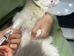 -达爱动物医院·犬猫分区·CT·复杂眼科(远洋山水分院)