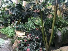-南山植物园