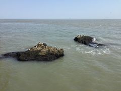 -海驴岛(荣成市)