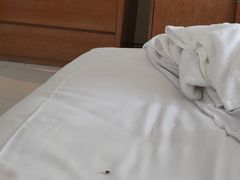 -三亚海棠湾万丽度假酒店