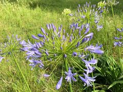 -重庆雨台山风景区