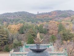 -普乐寺
