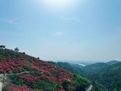-木兰云雾山