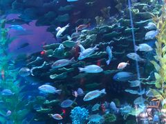 -泉城欧乐堡海洋极地世界
