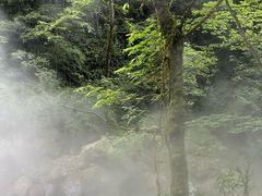 -西岭雪山大飞水景区
