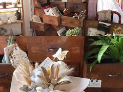 -知物癖(牛王庙店)
