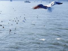 -海埂大坝