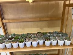 -海底捞火锅(泰安爱琴海店)