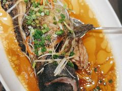 -箪食巷私房菜馆·鲁菜(玉函路店)