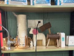 -严国平动物医院(德政总院)