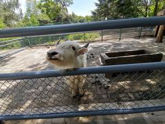 -长白岛森林公园