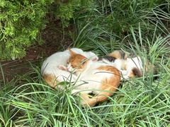 -李叔同故居纪念馆