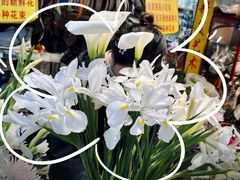 -循礼门鲜花花市(武汉循礼门店)