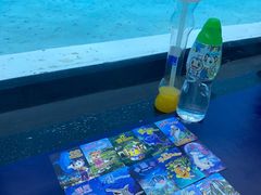 -珠海长隆海洋王国