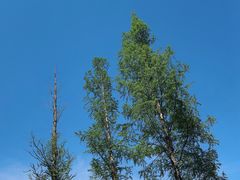 -井冈山风景名胜区