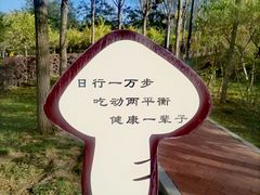 -白塔山公园