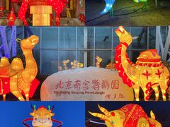 -南宫五洲植物乐园