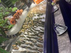 -阳光岛·海鲜盛宴(银泰中心in99店)