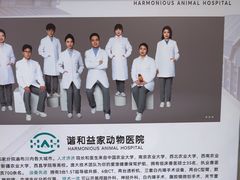 -谐和益家动物医院·免疫绝育·血液透析·宠保定点医院(高新伊藤分院)