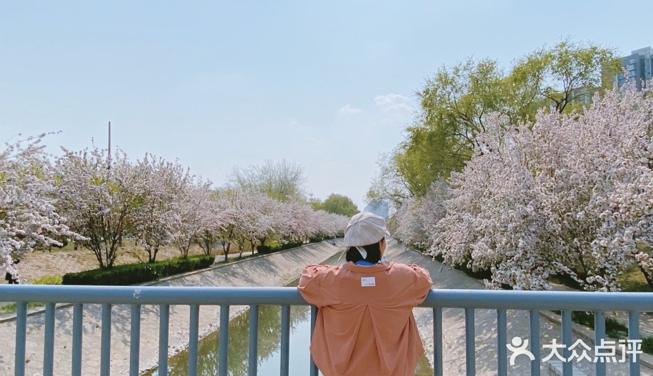 北京春日赏花秘境🌸日系海棠花溪‼️完爆元大都 