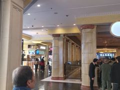 -澳门威尼斯人综合度假区