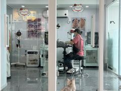 -爱洗澡的猫(望京店)