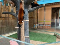 -石家庄市动物园