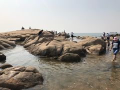 -老虎石海上公园