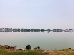 -合肥滨湖国家森林公园