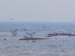 -八仙过海景区