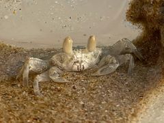 -西涌国际滨海旅游区