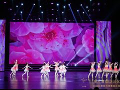 -红舞鞋舞蹈教育(近江校区)