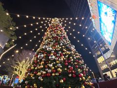 -东莞松山湖万象汇