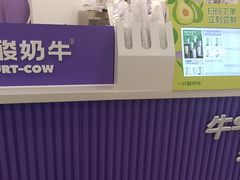 -一只酸奶牛(来福士店)