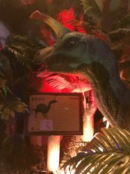 -恐龙探索乐园(磁器口店)