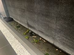 -帝京日语(春熙路旗舰校区)