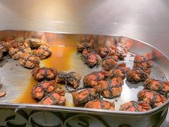 -新发展亚太JW万豪酒店·福苑咖啡厅