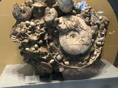 -湖南省地质博物馆