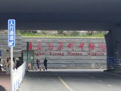 -青藏高原野生动物园