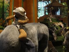 -济州岛泰迪熊博物馆