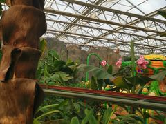 -南宫五洲植物乐园