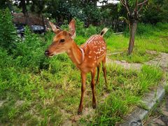 -帽儿山国家森林公园