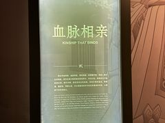 -中国闽台缘博物馆