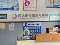 -伟伟宠物医院·瑞派猫友好医院·猫科(光谷店)