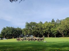 -广州雕塑公园
