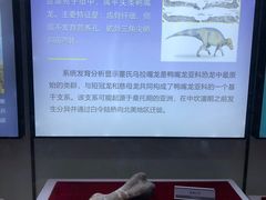 -嘉荫恐龙国家地质公园